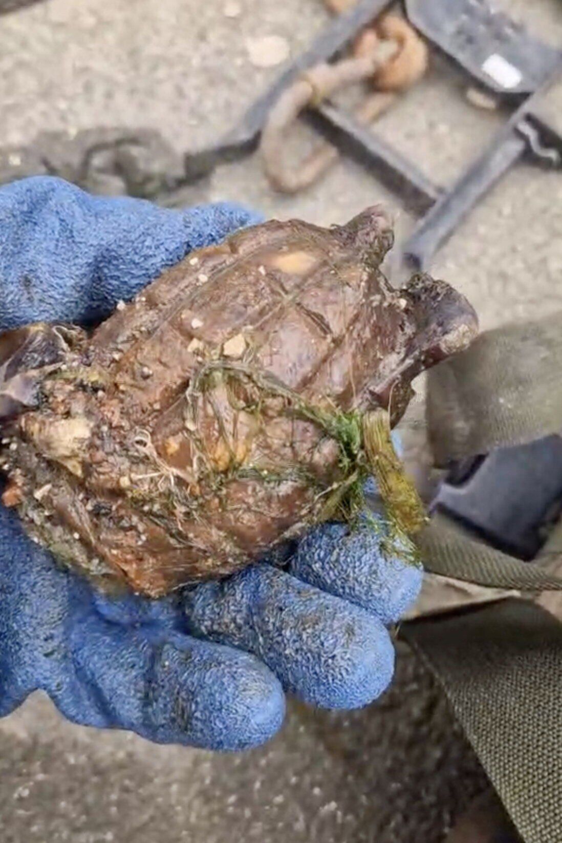 Magnet fisherman sparks bomb scare after fishing out WWII grenade from river